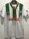 1994 Ireland  Away Retro Soccer Jersey (World Cup 版-带胸广告)