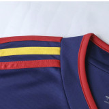 2010 Spain Away Long Sleeve Retro Soccer Jersey(带胸前决赛字) (长袖)