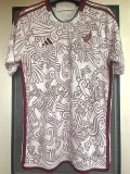 22-23 Mexico Away World Cup Fans Soccer Jersey