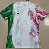 2023 Italy Green White Red Training shirts