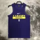 22-23 LAKERS Purple NBA Training  Vest
