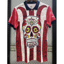 23-24 Chivas Special Edition Fans Soccer Jersey