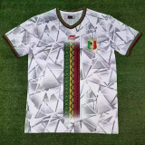 23-24 Mali Home Fans Soccer Jersey