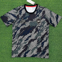 23-24 ARS Grey Blue Joint Edition Fans Soccer Jersey