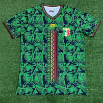 23-24 Mali Away Fans Soccer Jersey