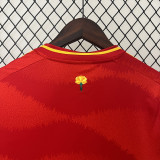 24-25 Spain Home Fans Soccer Jersey