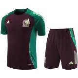 24-25 Mexico Maroon Training Short Suit