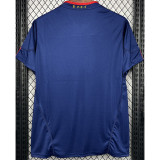 2010  Spain Away Royal Blue Retro Soccer Jersey(带胸前决赛字)