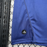 2010  Spain Away Royal Blue Retro Soccer Jersey(带胸前决赛字)