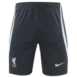 24-25 LIV Grey Training Shorts Pants