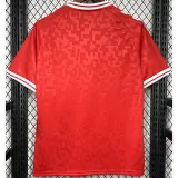 24-25 Denmark Home Fans Soccer Jersey 胶标