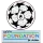 UCL (新平条 6)右袖