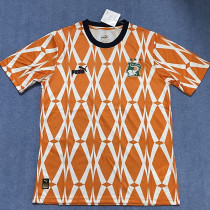 23-24 Ivory Coast Orange Special Edition Fans Soccer Jersey
