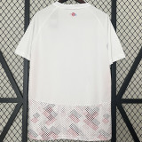 24-25 Lille Away Fans Soccer Jersey