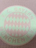 24-25 Bayern Special Edition Player Version Soccer Jersey