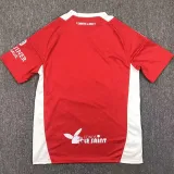 24-25 Stade Brestois UCL Home Fans Soccer Jersey (欧冠版)