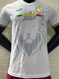 2024 Senegal White Player Version Soccer Jersey