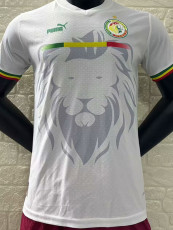2024 Senegal White Player Version Soccer Jersey