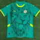 24-25 Senegal Away Fans Soccer Jersey