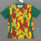 24-25 Senegal Red Yellow Green Fans Training shirts