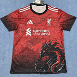 25-26 LIV Red Special Edition Fans Training shirts