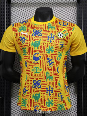24-25 Ghana Yellow Player Version Training shirts