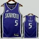 24-25 KINGS FOX #5 Purple Retro Top Quality Hot Pressing NBA Jersey(V领）
