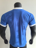 25-26 RMA Blue Special Edition Player Version Training Shirts *翻领