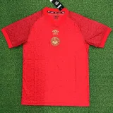 24-25 Bournemouth Red Special Edition Fans Soccer Jersey