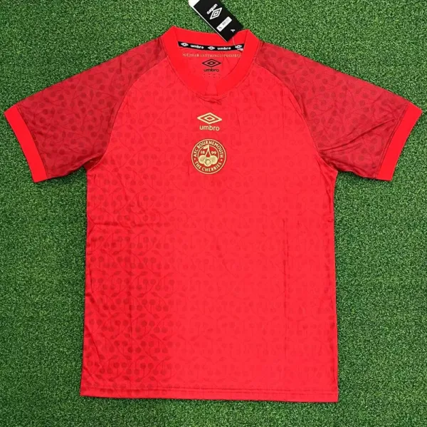 24-25 Bournemouth Red Special Edition Fans Soccer Jersey