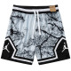 C2439 AJ Grey Casual Short Pants