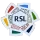 RSL(45沙特联)左袖