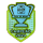 CAMPEAO2024 (巴西杯冠)胸前