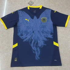 25-26 Fenerbahce Special Edition Blue Fans Soccer Jersey