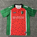 25-26 Deportivo Palestino Third Fans Soccer Jersey