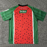 25-26 Deportivo Palestino Third Fans Soccer Jersey