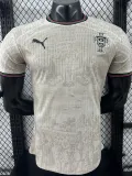 25-26 Portugal Khaki Special Edition Player Version Soccer Jersey