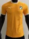 24-25 Ivory Coast Orange Special Edition Player Version Training Shirts