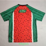 25-26 Deportivo Palestino Special Edition Third Fans Soccer Jersey