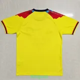 25-26 Club America Yellow Fans Soccer Jersey (Caliente)