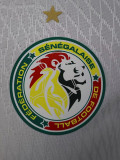 24-25 Senegal Home Player Version Soccer Jersey (带星)