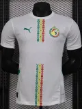 24-25 Senegal Home Player Version Soccer Jersey (带星)