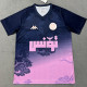 25-26 Tunisia Royal blue Special Edition Training shirts 突尼斯