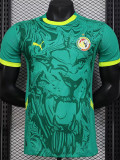 24-25 Senegal Away Player Version Soccer Jersey (带星)