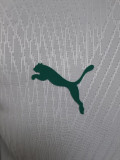 24-25 Senegal Home Player Version Soccer Jersey (带星)