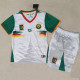 25-26 Cameroon Third Kids Soccer Jersey