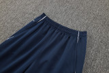 2025 AD Royal blue Jacket Tracksuit #C2502