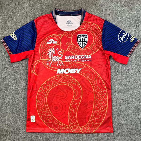 24-25 Cagliari Special Edition Fans Soccer Jersey