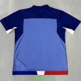 25-26 Fortaleza Blue Goalkeeper Soccer Jersey