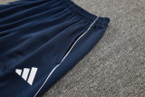 2025 AD Royal blue Jacket Tracksuit #C2502